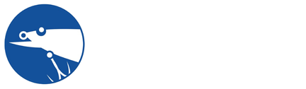 路達(dá)人路亞